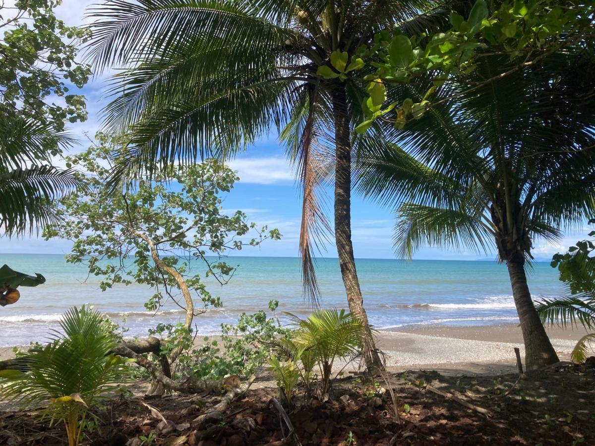 Popochos Beach Eco Lodge Nuquí Buitenkant foto